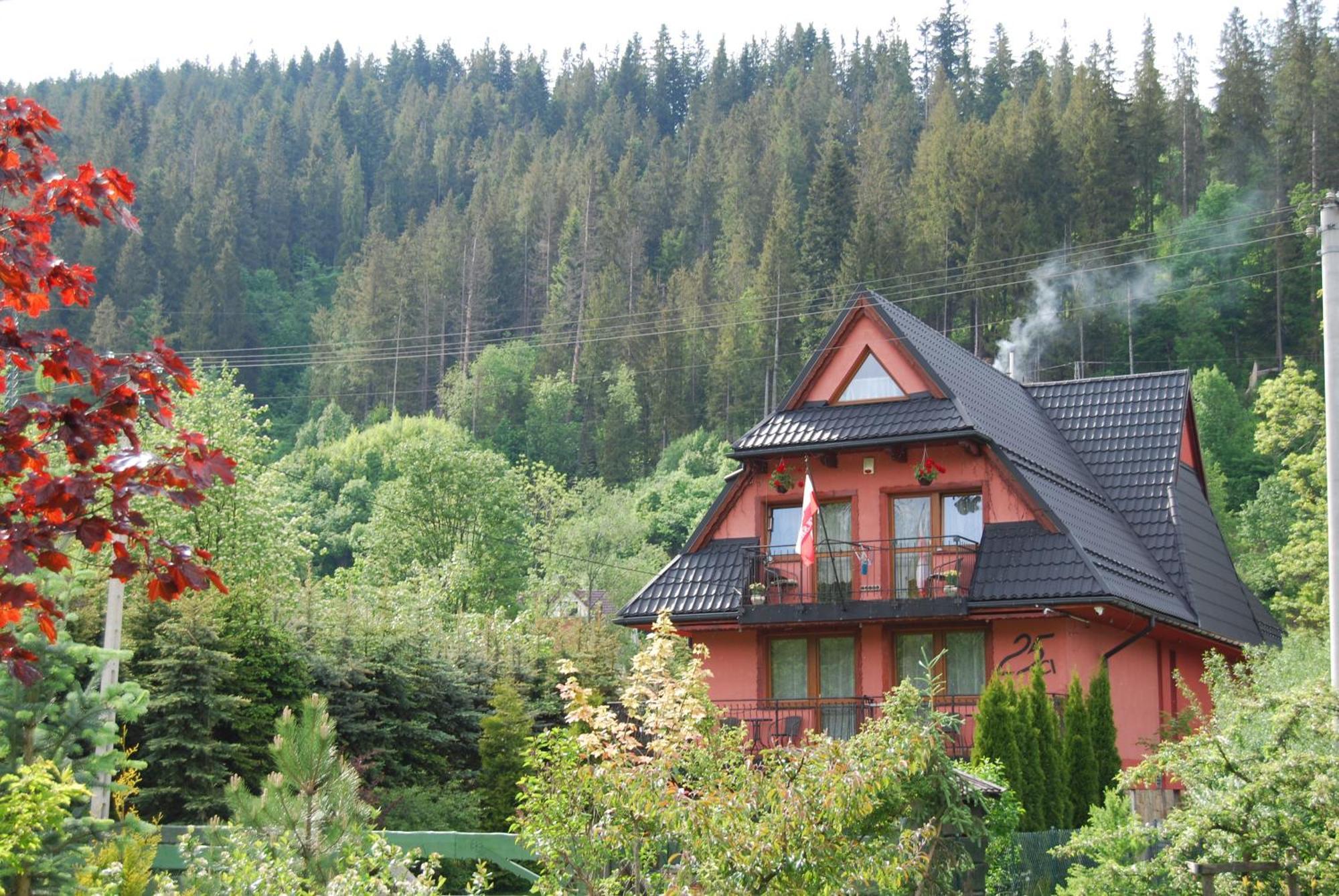 Willa Pod Banderą Zakopane Exterior foto